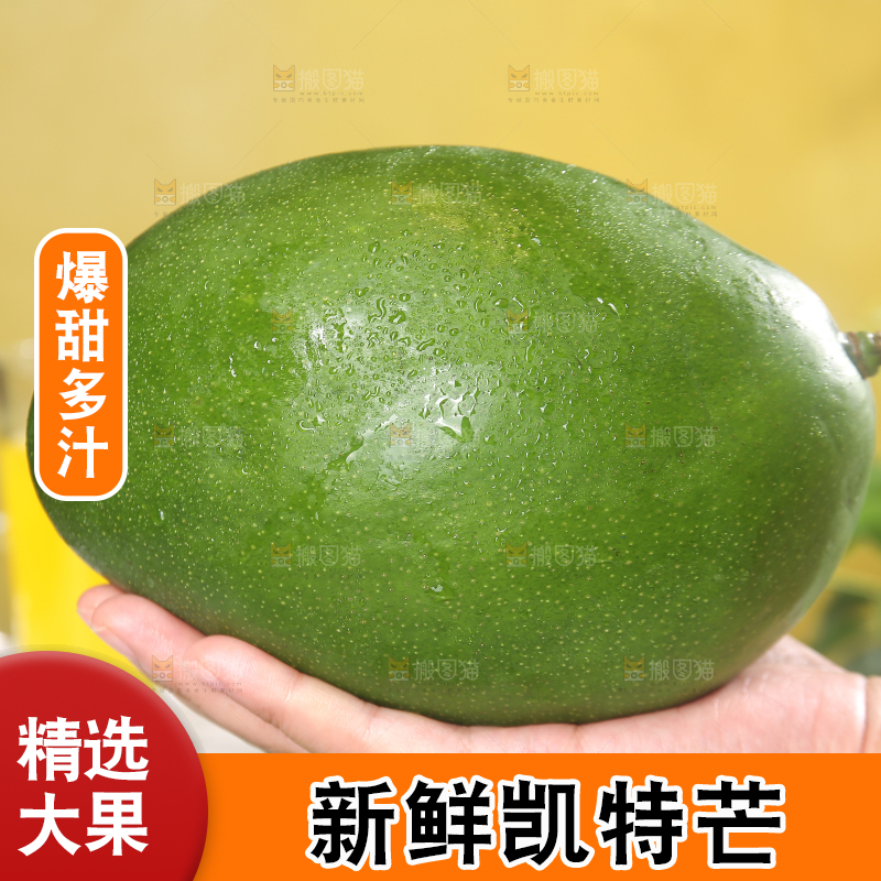 浅底上的凯特芒