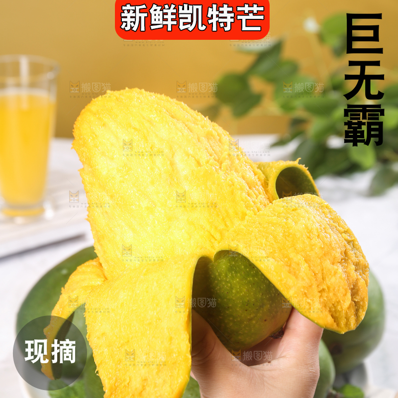 凯特芒主图