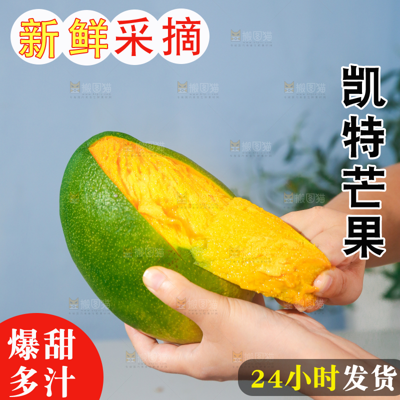 浅底上的凯特芒
