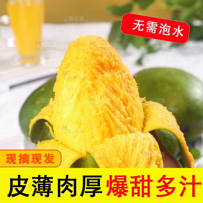 浅底上的凯特芒