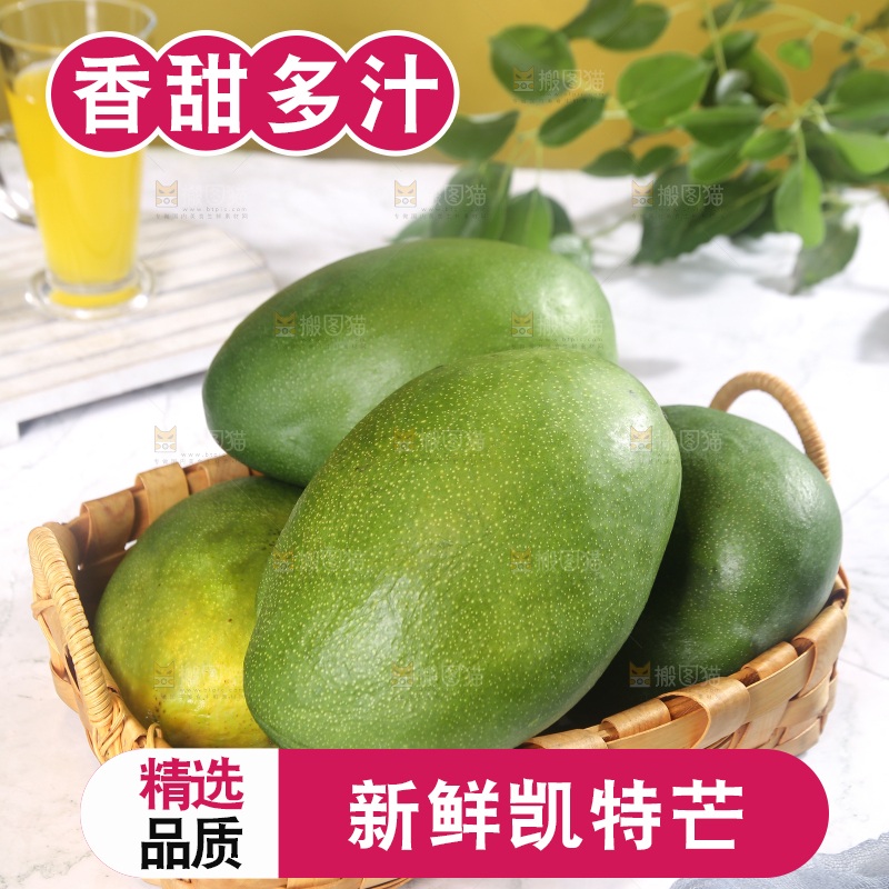 浅底上的凯特芒