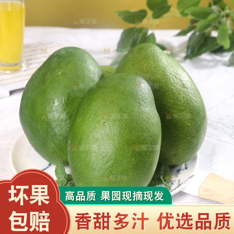 浅底上的凯特芒