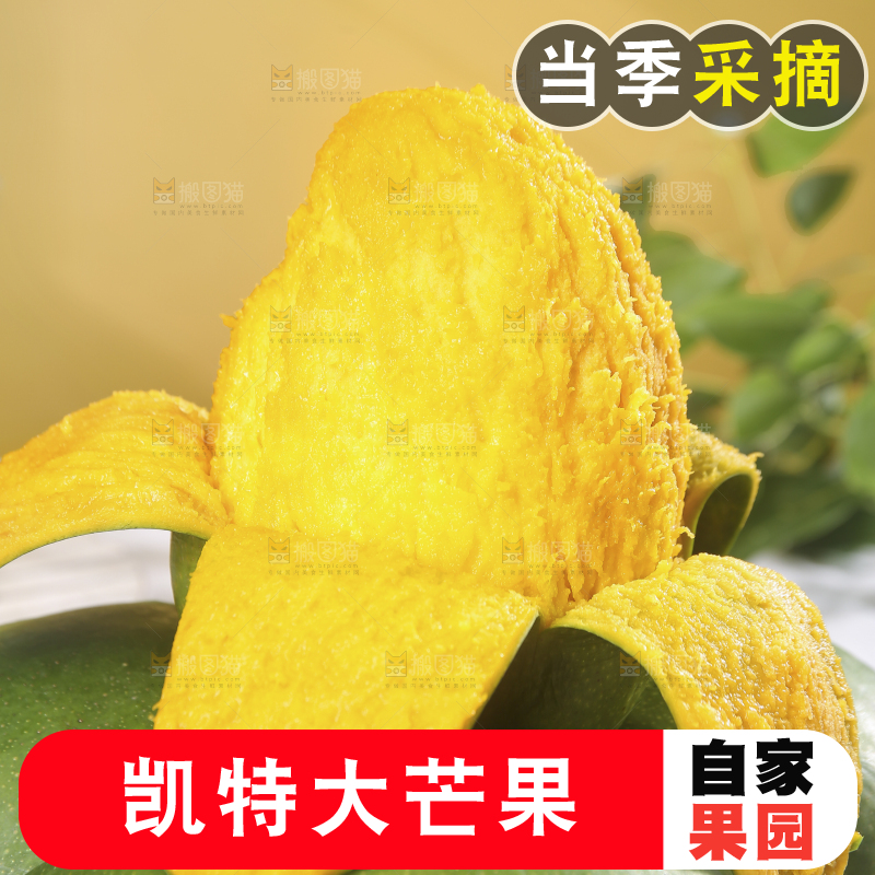 浅底上的凯特芒
