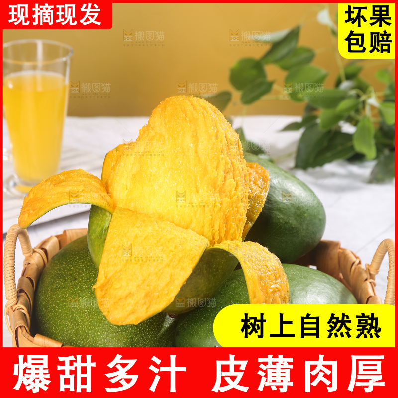 凯特芒主图