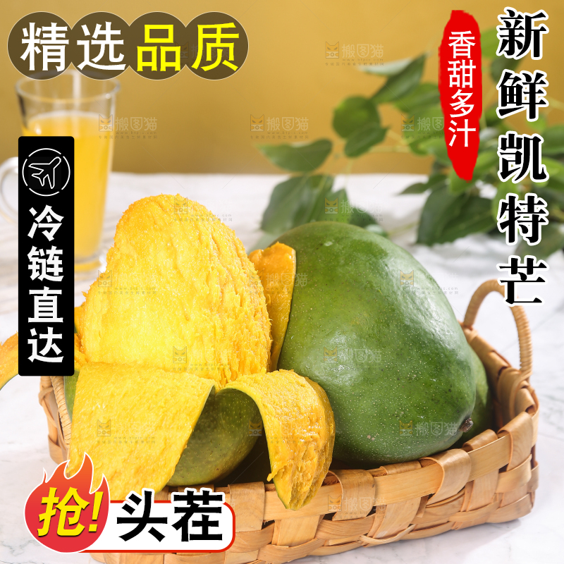 浅底上的凯特芒