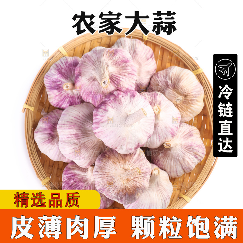 白底上的紫皮大蒜