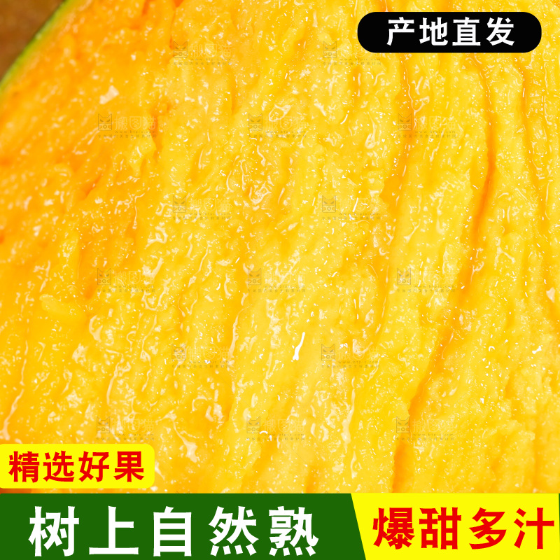 浅底上的凯特芒