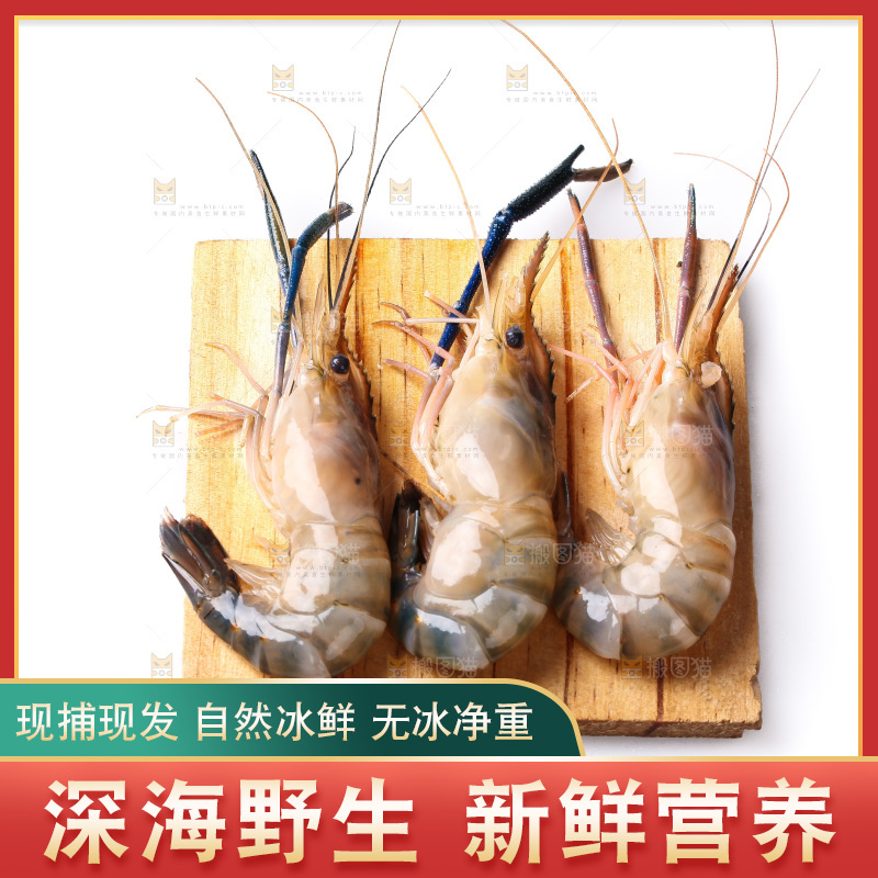 白底上的罗氏虾