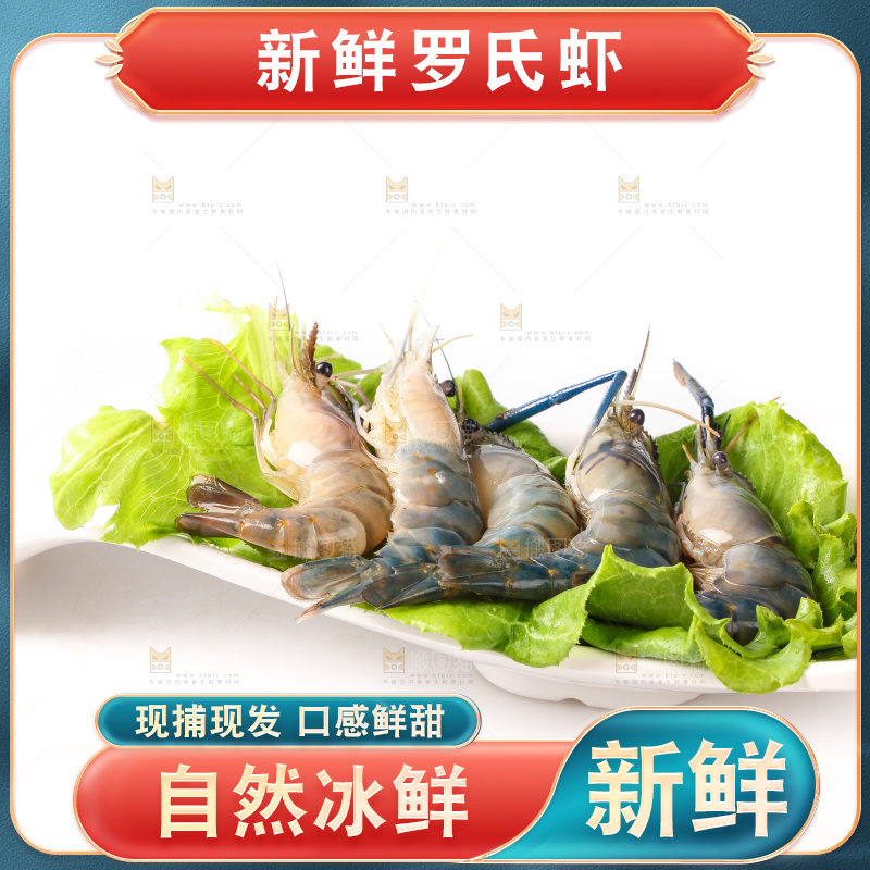 白底上的罗氏虾