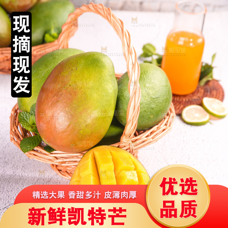 浅底上的凯特芒