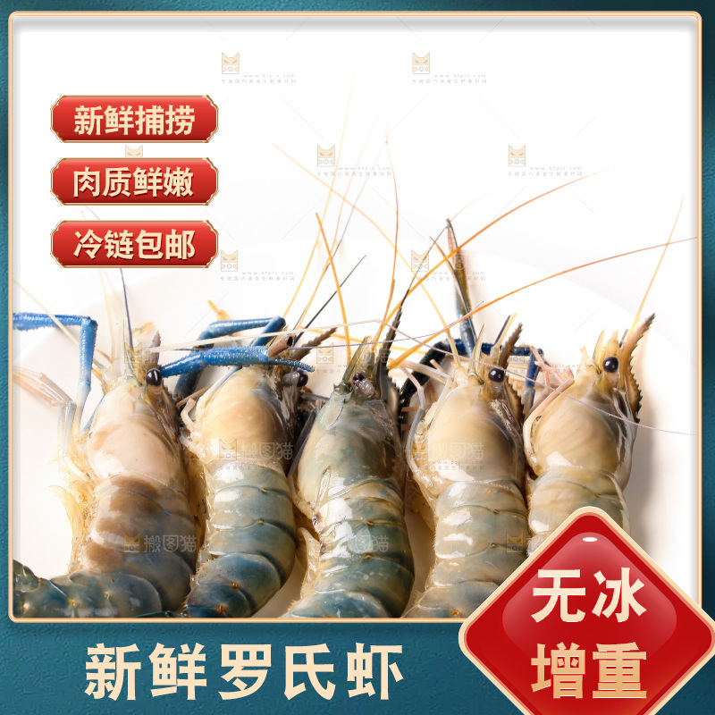 白底上的罗氏虾