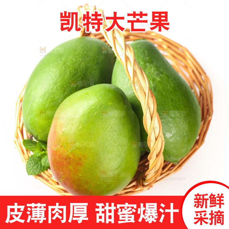 白底上的凯特芒果