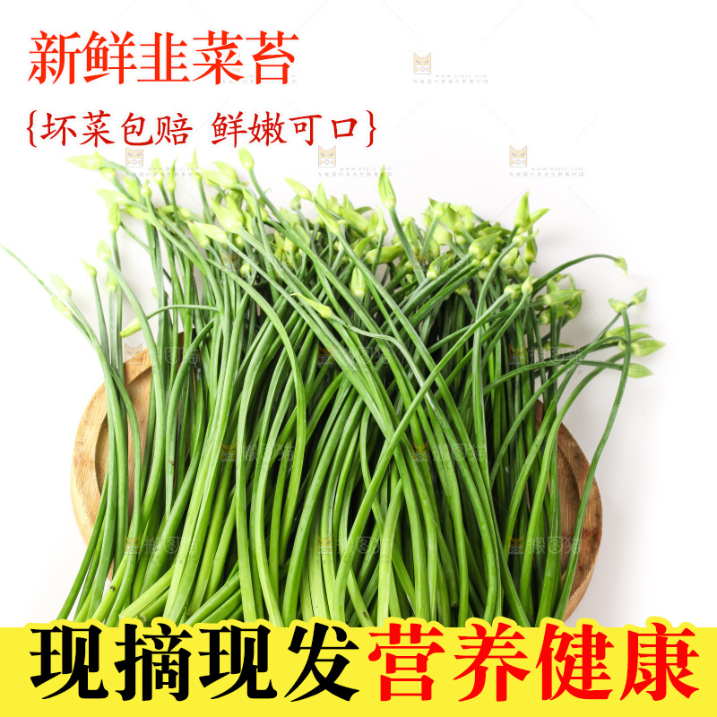 白底上的韭菜苔