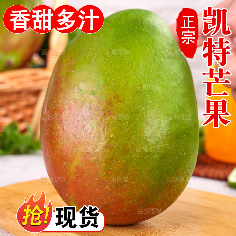 浅底上的凯特芒