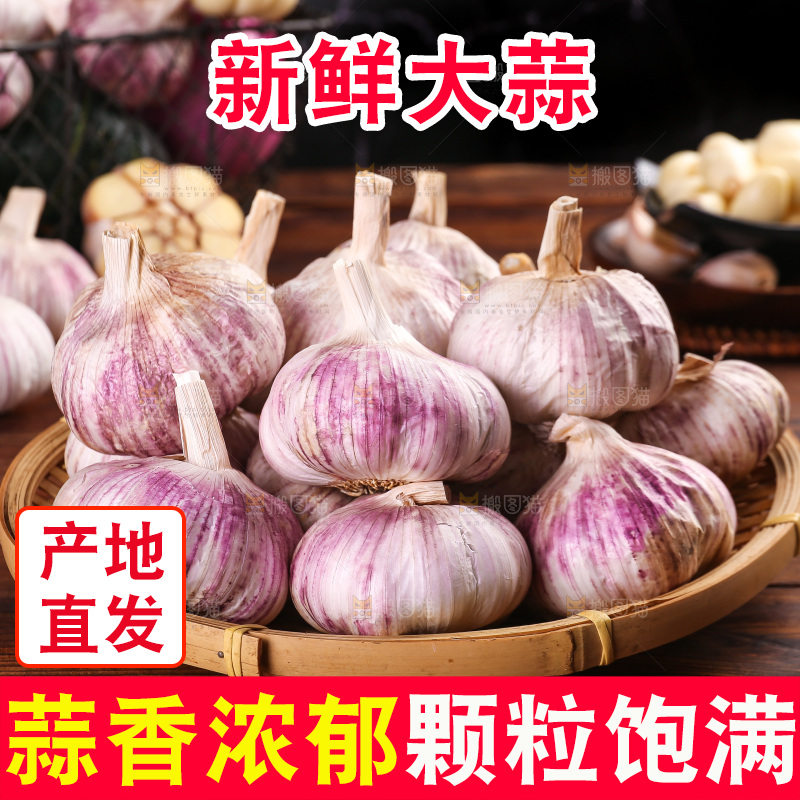 木底上的紫皮大蒜