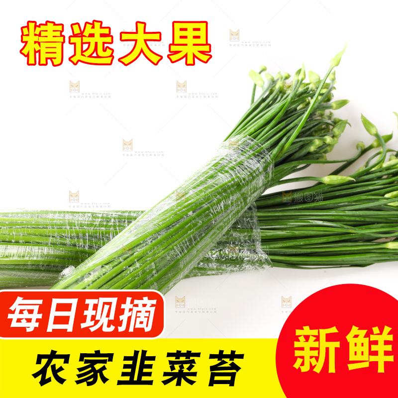 白底上的韭菜苔