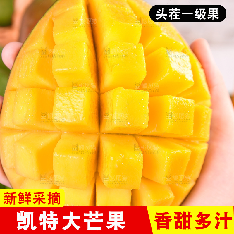 浅底上的凯特芒