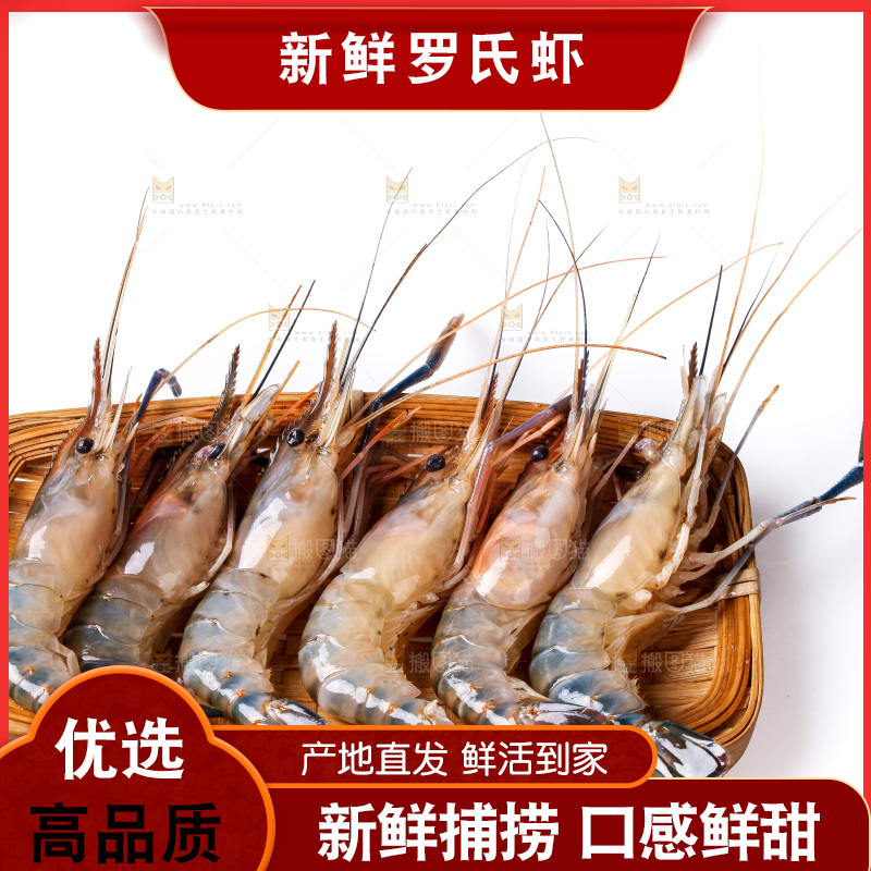 白底上的罗氏虾
