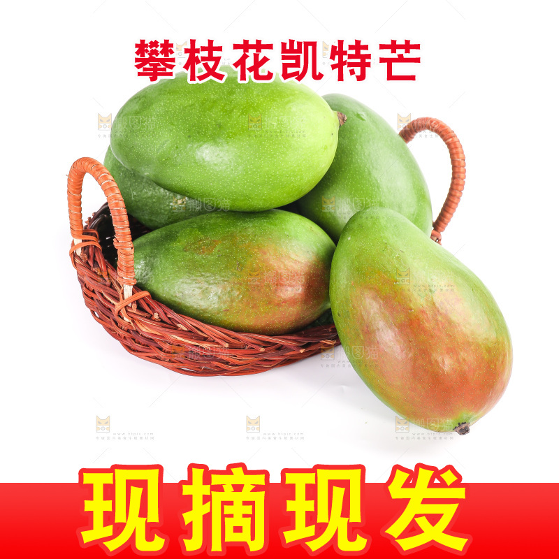 白底上的凯特芒果