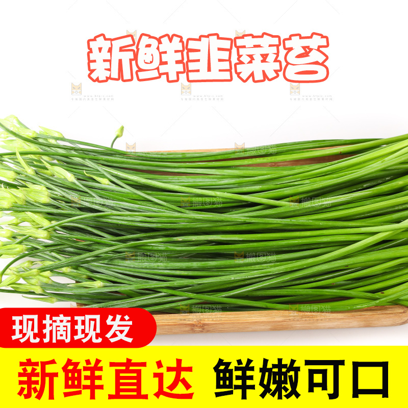 白底上的韭菜苔