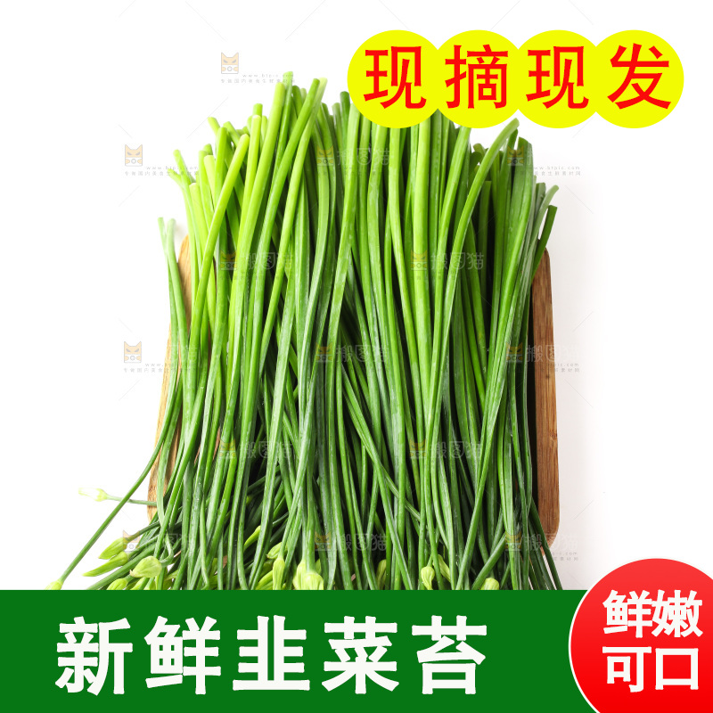 白底上的韭菜苔