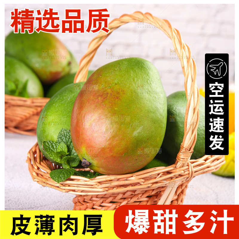 浅底上的凯特芒