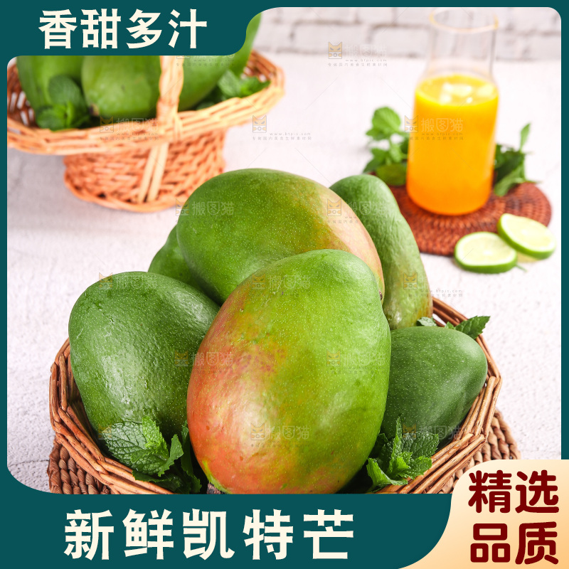 浅底上的凯特芒