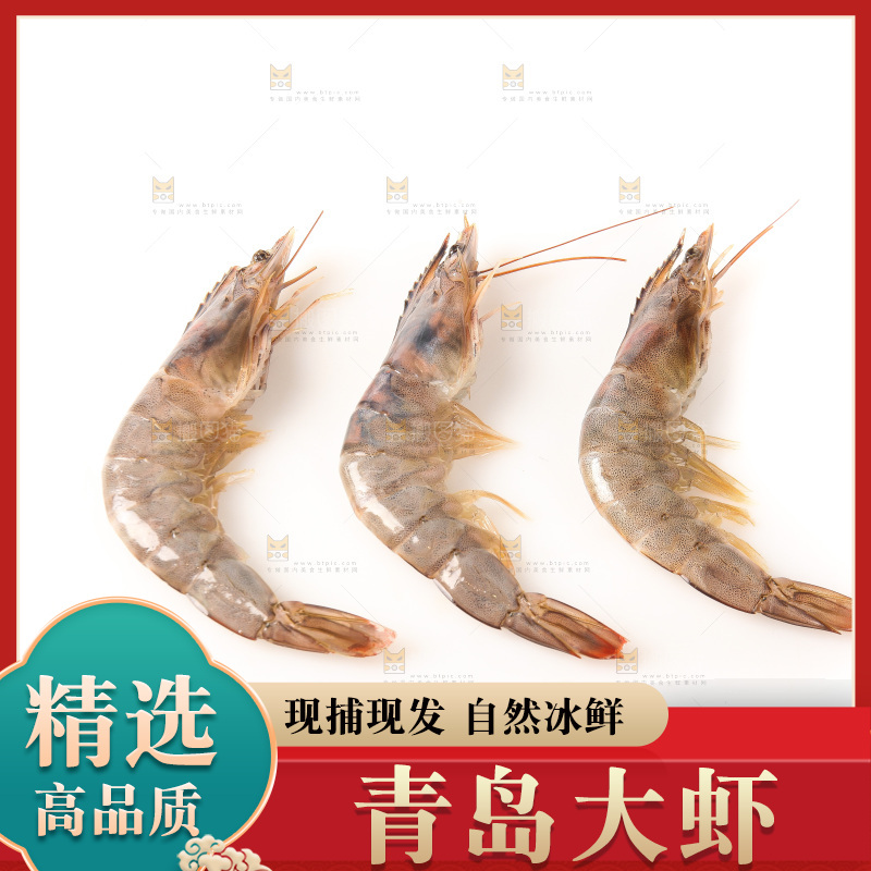 白底上的大虾
