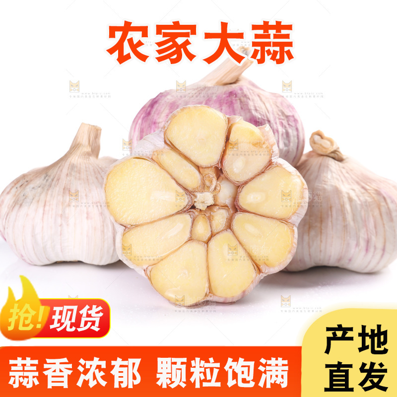 白底上的紫皮大蒜