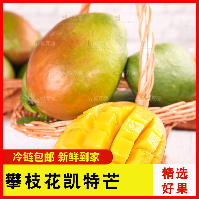 浅底上的凯特芒