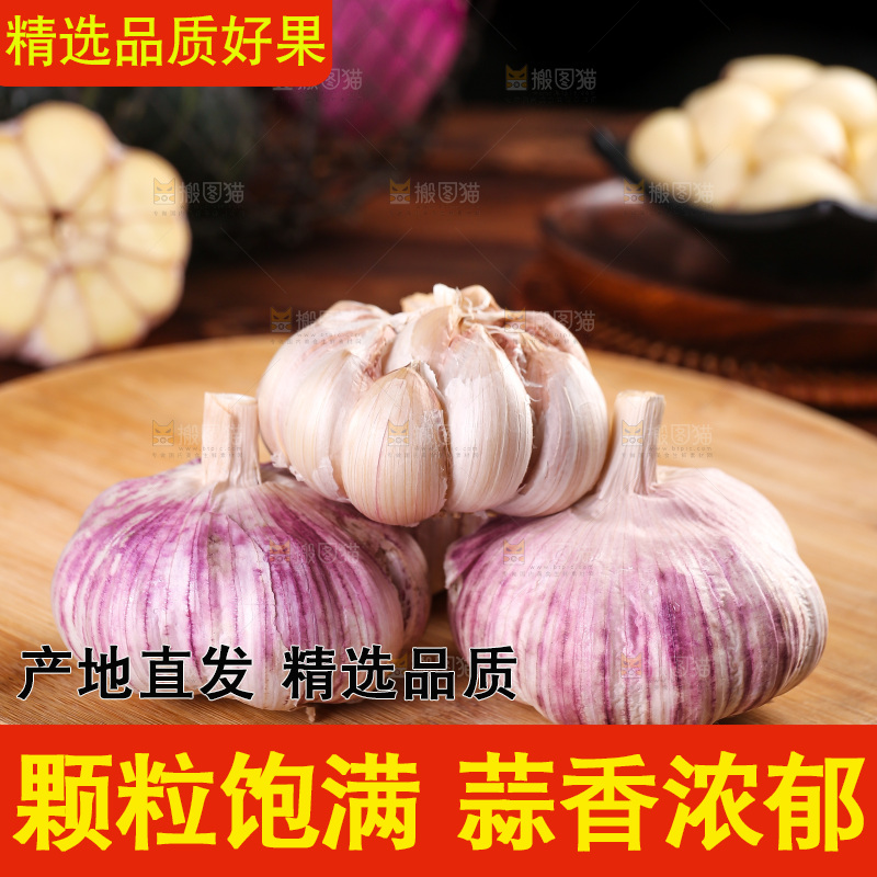 木底上的紫皮大蒜