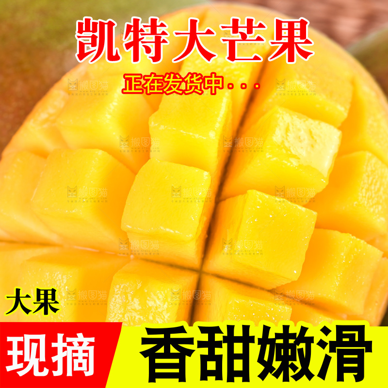 浅底上的凯特芒
