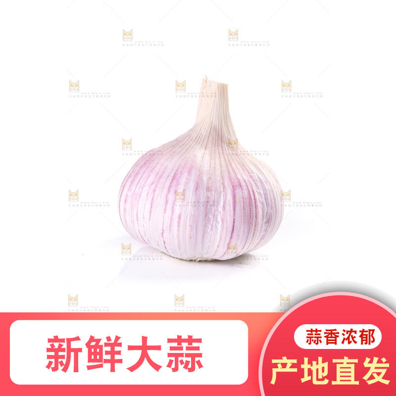 白底上的紫皮大蒜