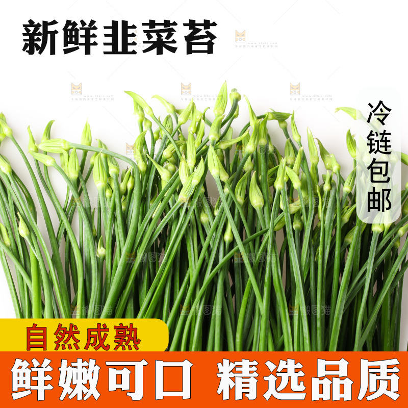 白底上的韭菜苔