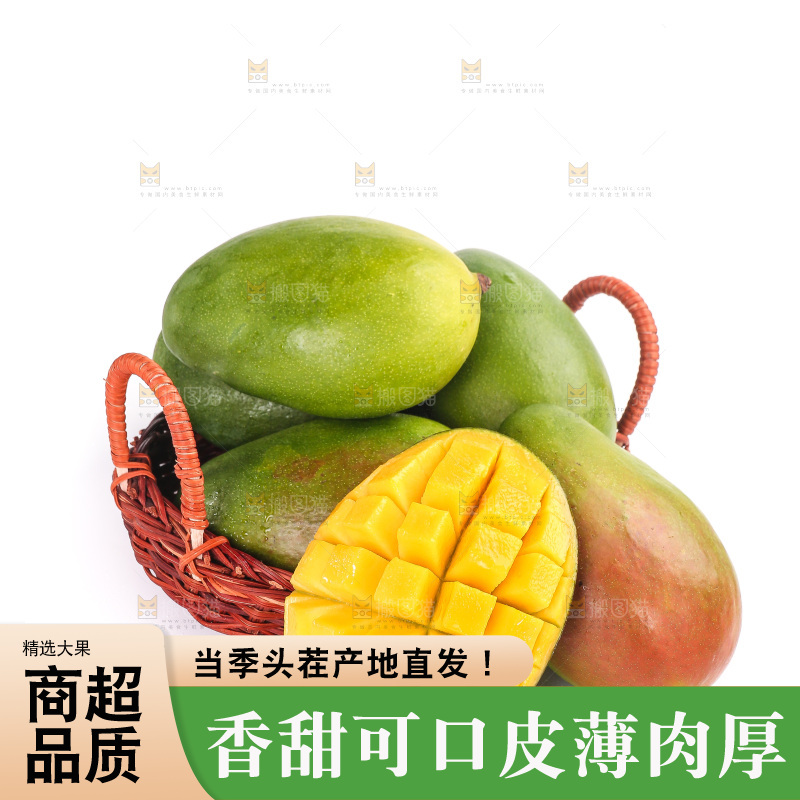 白底上的凯特芒果