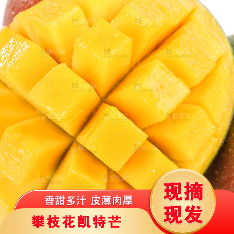 白底上的凯特芒果
