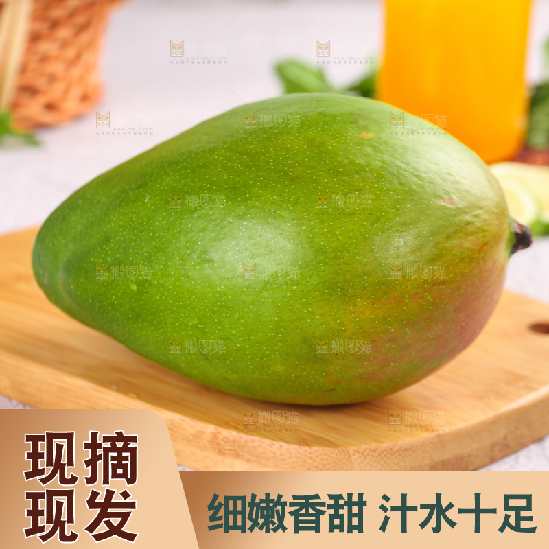 浅底上的凯特芒