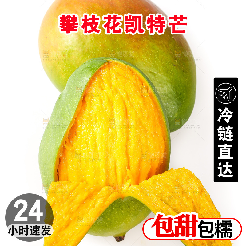 白底上的凯特芒果