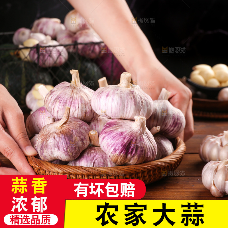 木底上的紫皮大蒜
