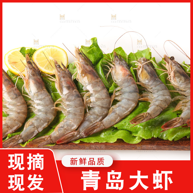 白底上的大虾
