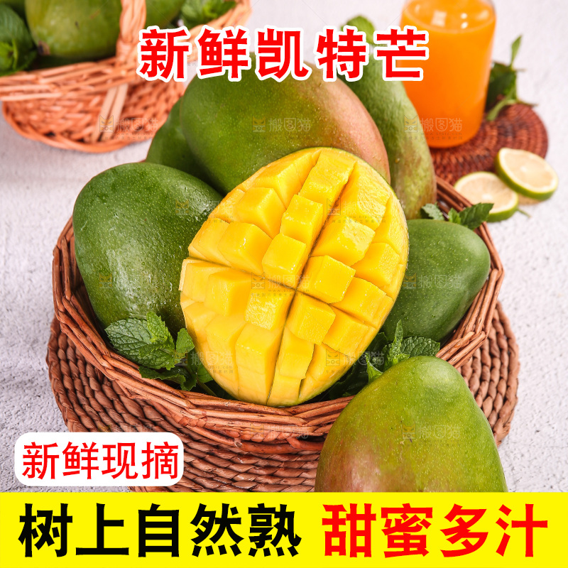 浅底上的凯特芒