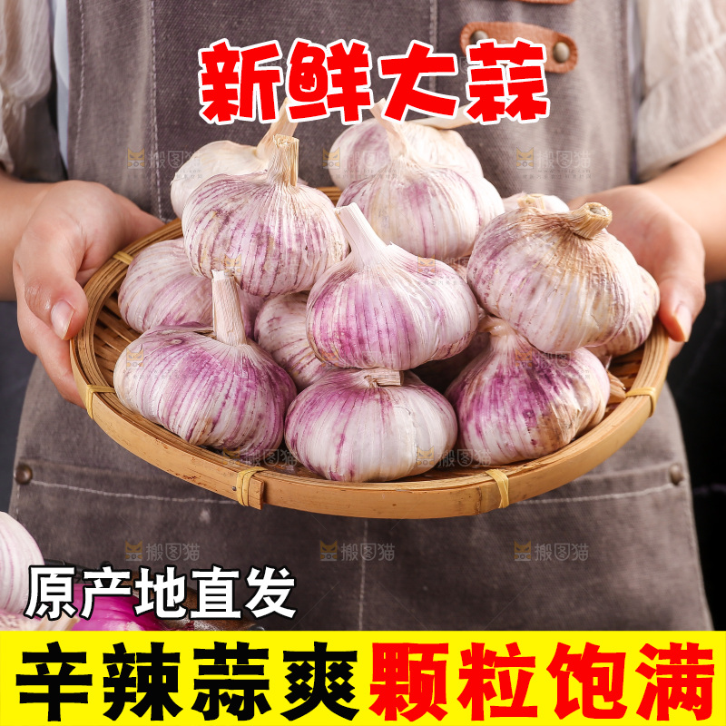 木底上的紫皮大蒜