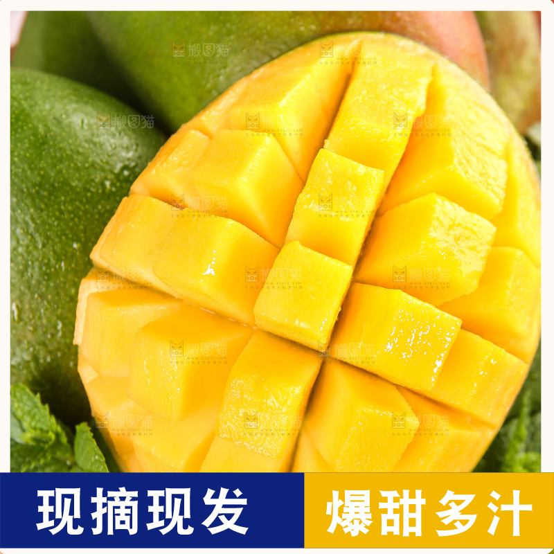 浅底上的凯特芒