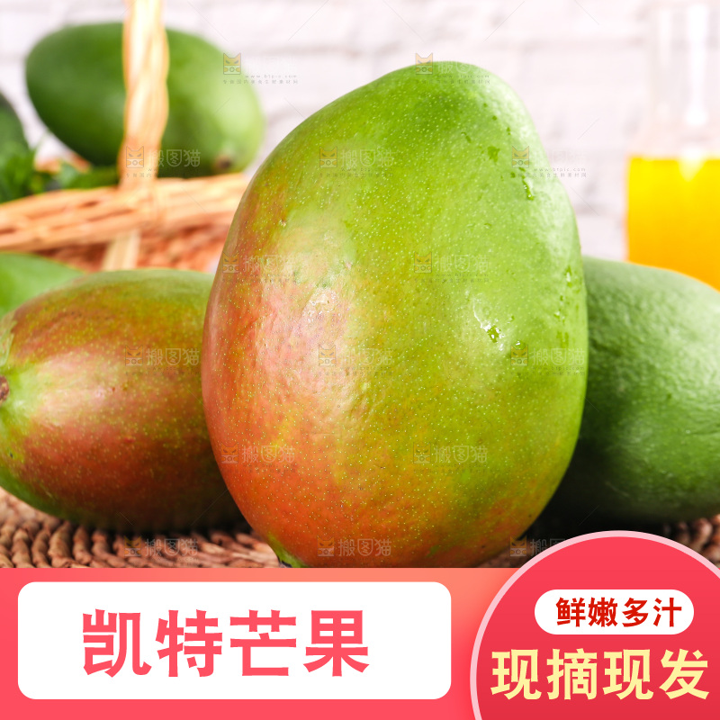 浅底上的凯特芒