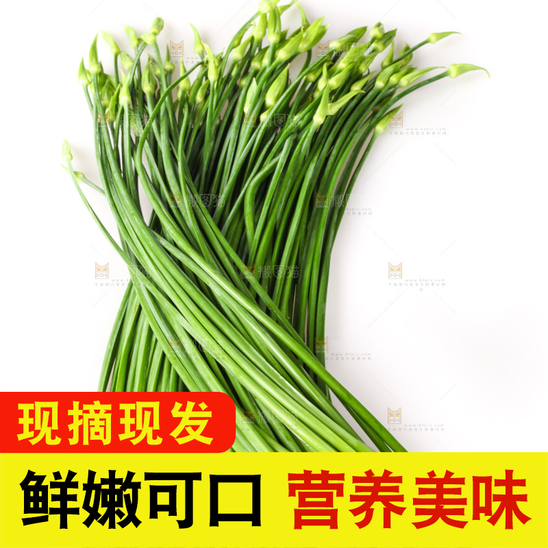 白底上的韭菜苔