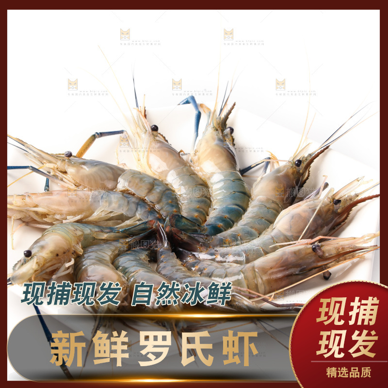 白底上的罗氏虾