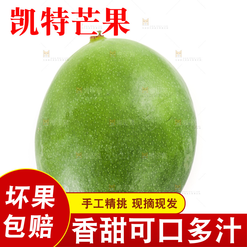 白底上的凯特芒果