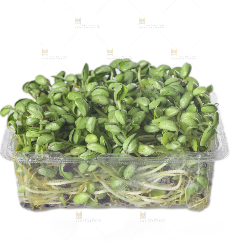 白底上的黑豆芽