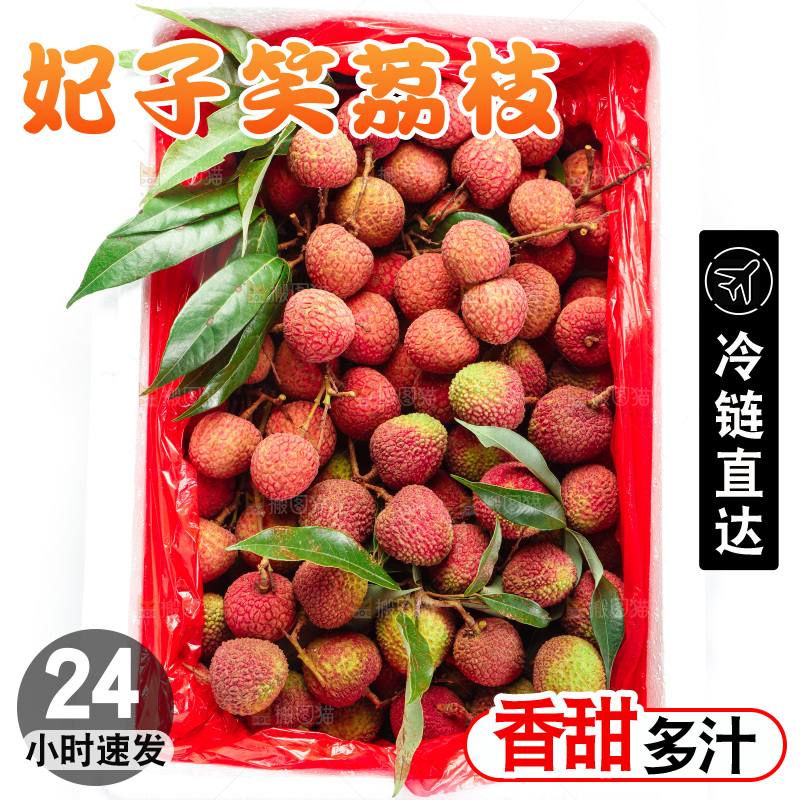 箱子里的妃子笑