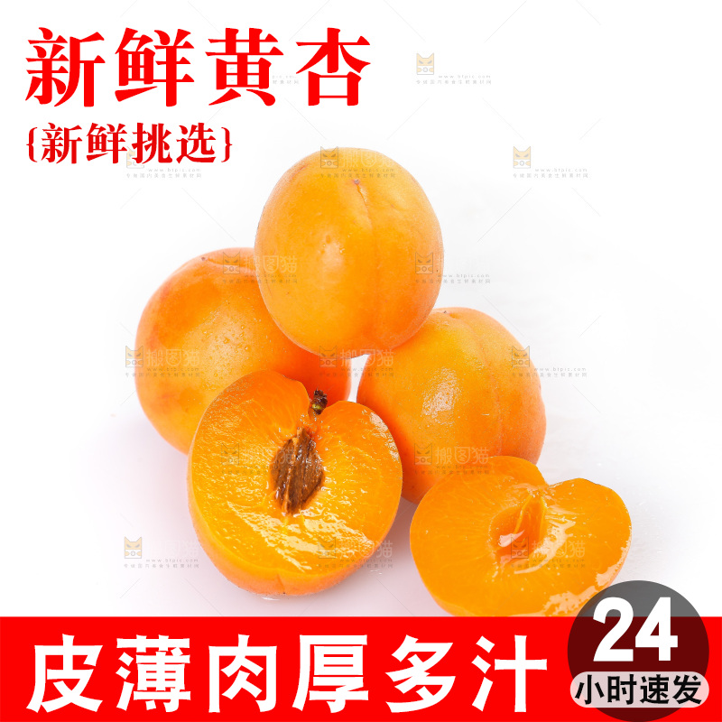 白底上的大黄杏